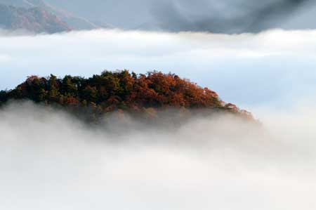雲海