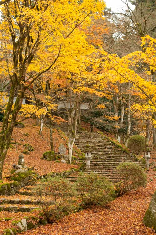 高源寺
