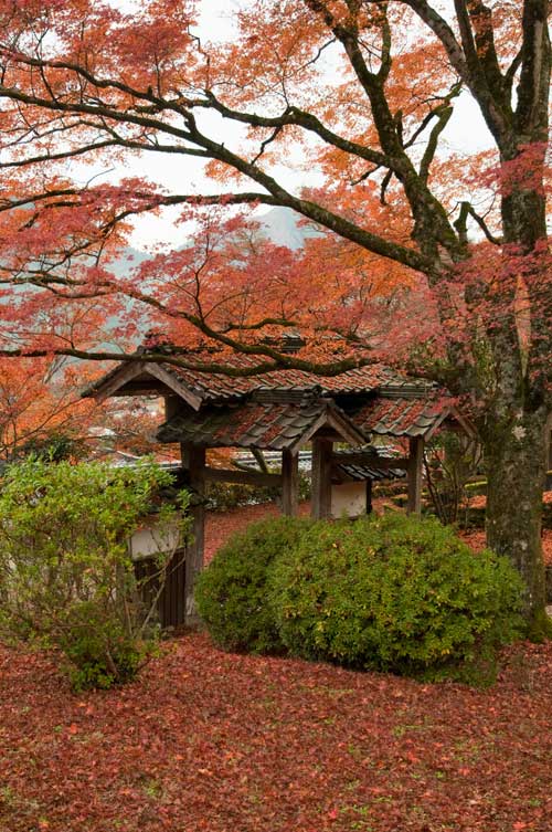 高原寺