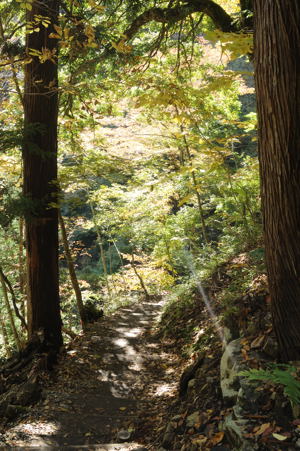 登山道